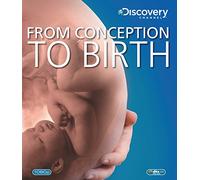 From Conception To Birth [Edizione: Regno Unito]