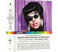 From Hollywood to Heaven: The Lost and Saved Films of The... (Blu-ray)