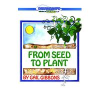 From Seed To Plant