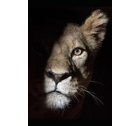 From Shadows to Strength:: A Survival Memoir