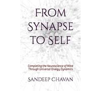 From Synapse to Self: Completing the Neuroscience of Mind Through Universal Energy Dynamics