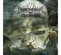 FROM THE BOGS OF AUGHISKA - MINERAL BEARING VEINS