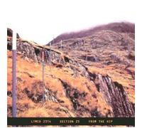 From The Hip + Singles - Section 25 (Audio CD)
