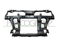 Frontale Anteriore Completo Con Supporto Superiore In Metallo Smart Fortwo 07/12