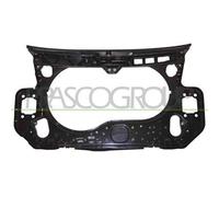 Frontale Anteriore Completo Per Audi A6 Dal 2004 Al 2008 Ad0343210 4f0805594d