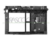 FRONTALE ANTERIORE per CITROËN C3 II, PEUGEOT 207 CC, 207 SW e 207/207+