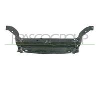Frontale Anteriore Superiore Citroen Berlingo Dal 2003 Al 2008 Ci9173200 7901c2