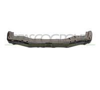 PRASCO SZ0363201 Pannellatura anteriore
