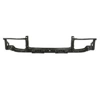 Frontale Mascherina Anteriore BLIC DODGE CHARGER 11.10-12.14