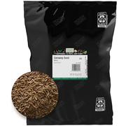 Frontier Prodotti Naturali, Cumino Intero Seme, 16 oz (453 g)