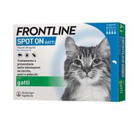 Frontline*4pip gatti