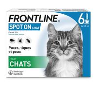 Frontline Spot On chat - Antipulci antiparassitari per gatto - 6 pipette
