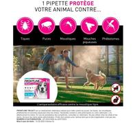 FRONTLINE TRI-ACT 10-20kg - 6 pipette