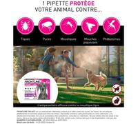 FRONTLINE TRI-ACT 20-40kg - 6 pipette