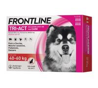 Frontline Tri-Act SPOT-ON : Frontline Tri-Act SPOT-ON : 6 pipette per taglia gigante (40-60 Kg) scadenza: 30/06/2021