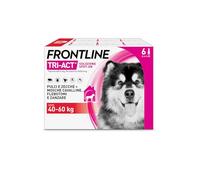 Frontline Tri-Act x6 Antiparassitario Cani Contro la Leishmaniosi (40-60Kg) | Prodotto Per Cani E Cuccioli. Protegge Da Pulci, Zecche, Zanzare, Pappataci E Leishmaniosi, Antipulci 6 Pipette