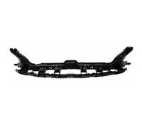 Frontmaske Frontgerüst Schloßträger SLR Per Ford Mustang 2018-2019 Lift SA