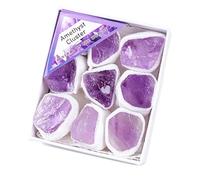 FROON Set di esemplari Pietra Grezza Cristallo Naturale, grappolo Ametista, Ornamento Minerale educativo per scrivanie o scaffali