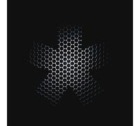 Frost Experiments In Mass Appeal 2021 (Vinyl LP)