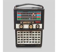 Frost Life in the Wires (Vinyl LP) 12" Album