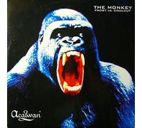 Frost Vs.Coolcut - The Monkey