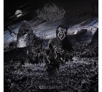 Frosted Undergrowth - Unchained
