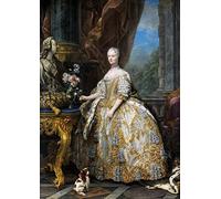 FROZBI Stampe D'arte Della Parete Quadro su Tela Pittura classica Charles André Van Loo Marie Leszczinska Regina di Francia per l'arredamento dell'ufficio 60x90cm