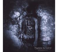 Frozen Infinity - Fragments of I