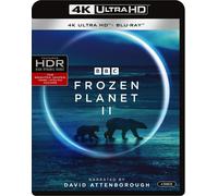 Frozen Planet II (4K Ultra UHD/Blu-ray) (4K UHD Blu-ray)