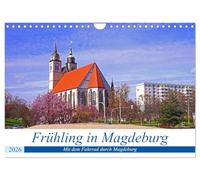 Frühling in Magdeburg (Wandkalender 2026 DIN A4 quer), CALVENDO Monatskalender: Im Frühling mit dem Fahrrad durch Magdeburg