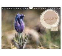 Frühlingsblüher - Farbenpracht nach dem Winter (Wandkalender 2026 DIN A4 quer), CALVENDO Monatskalender: Wenn die kalten Tage langsam weichen, ... leuchtenden Farben das Ende des Winters an.