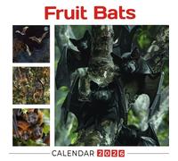Fruit Bats Calendar 2026: Night Gliders with Wide Eyes and Winged Whimsy