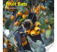 Fruit Bats Calendar 2026: Night Gliders with Wide Eyes and Winged Whimsy