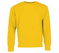 Fruit of the Loom Classic Set-In Sweat + sacchetto di stoffa MyShirt, Giallo girasole, M