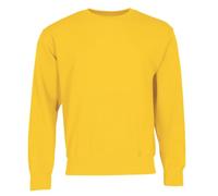 Fruit Of The Loom - Felpa classica da uomo a maniche lunghe (confezione da 1), Girasole, XL