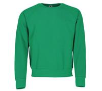 Fruit of the Loom Felpa classica Raglan + sacchetto di stoffa MyShirt, verde maggio + sacchetto Myshirt in tessuto gratuito, S