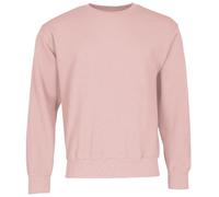 Fruit of the Loom Felpa classica Set-In, Powder Rose, S