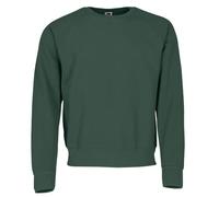 Fruit of the Loom Raglan Sweatshirt, Felpa Uomo, Verde (Bottle Green), Large