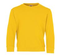 Fruit of the Loom SS027B Maglione, Giallo (Sunflower Yellow), 7-8 Anni (Taglia Produttore: 128) Bambino
