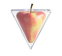Fruit Shaping Molds for Creating Unique Shapes - Triangular and Cube-Shaped Fruit Molds | Reusable Fruits and Vegetable Planting Mold | for Tomatoes, Strawberries, Pears,in Garden
