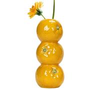 Fruit Vase For Flowers - Unique Shaped Flower Planter Pot Decoration