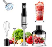 Frullatore a Immersione 5 in 1 in Acciaio Inox 1000 W Velocità Regolabile