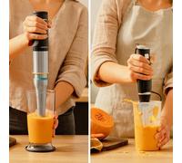 Frullatore a mano Frullatore a immersione Katana 15 Chop B