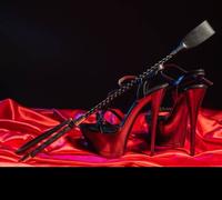 FRUSTINO FRUSTA sadomaso Schiava MASTER sexy intimo bondage