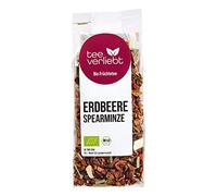 FRUTEG Tè alla frutta Organic Strawberry Spearmin 100 G | Tè di frutta allentato | Tè della menta piperita con fragole - rinfrescante e fruttato allo stesso tempo | Tè di frutta Bio Bio Slipa 100g