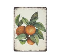 Frutta arancione Frutta Arte murale Cibo Frutta Cucina Poster Cucina Frutta Arte murale Targa in metallo Targa Poster Cultura vintage Decorazione murale Alluminio Giardino Ristorante Soggiorno Camer