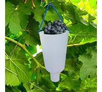 Frutta d'uva che ammollo tazza versatile pratico per il frutto di frutta da
