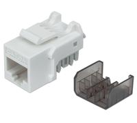 Frutto Keystone RJ45 Cat6A UTP 10G Bianco - Intellinet IWP-MD C6A/WH