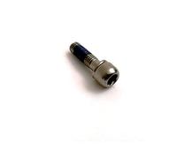 Fsa BULLONE Cromo per Attacco