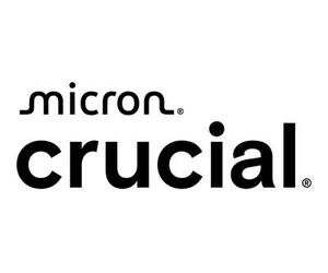 Fsas Technologies Micron SSD 240 GB Bootlaufwerk intern Fsas PY-MF24YN5